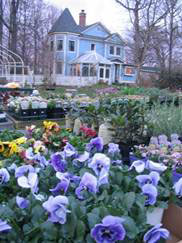 Heather Hill Gardens — the blue Victorian house