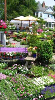 Heather Hill Gardens property