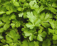 Parsley Flat
