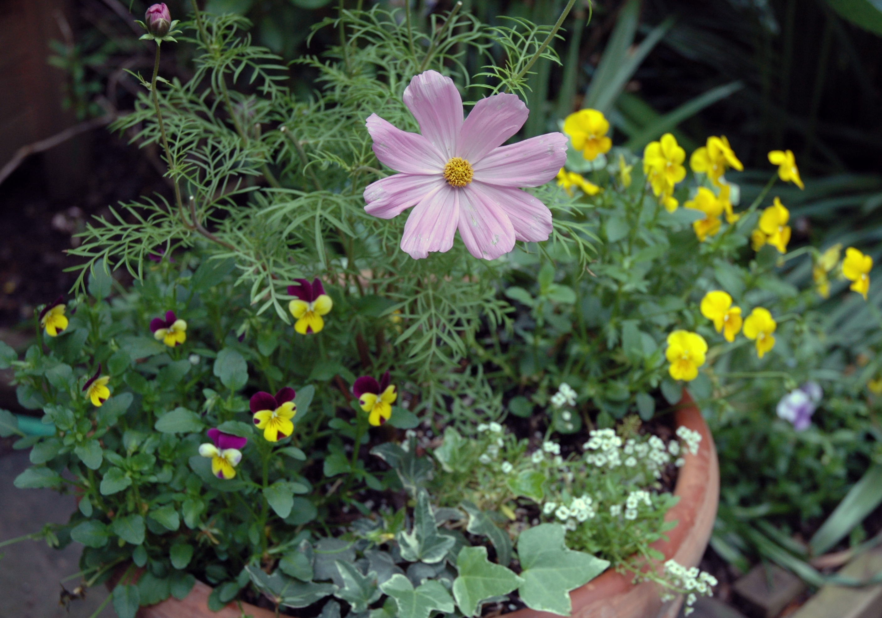 The finished product